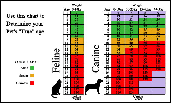 Topsham Veterinary Wellness Center - Surveillance Screening