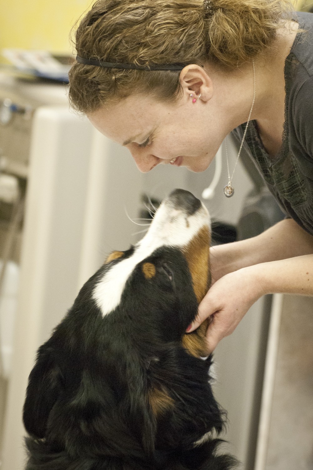 Katie www.topshamvet.com Katie www.topshamvet.com